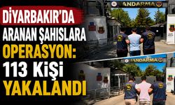 Diyarbakır’da aranan şahıslara operasyon: 113 kişi yakalandı