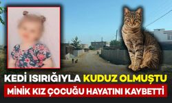 Kedi ısırmasıyla kuduz olan kız çocuğu hayatını kaybetti