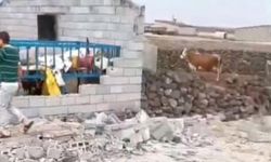 Diyarbakır'da şiddetli rüzgar ahırı yıktı: 2 çocuk yaralandı