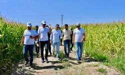 Doğu'nun 3 ilçesi bu dev projeyle atağa geçecek!