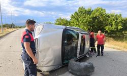 Erzincan'da otomobil aydınlatma direğine çarptı