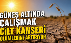 Güneş altında çalışmak cilt kanseri ölümlerini artırıyor