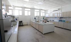 Bitlis Eren Üniversitesi BEBTAM’dan Bal Analizlerinde Tarihi Başarı