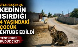 Diyarbakır’da kedinin ısırdığı 4 yaşındaki çocuk entübe edildi: Kuduz testi pozitif çıktı