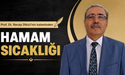 HAMAM SICAKLIĞI