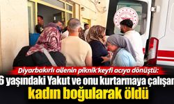 Diyarbakırlı ailenin piknik keyfi acıya dönüştü