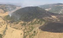 Karakoçan'daki orman yangını kontrol altına alındı