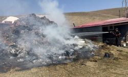Kars'ta çiftçinin bir yıllık emeği kül oldu