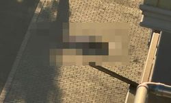 Mardin'de balkondan düşen kadın hayatını kaybetti