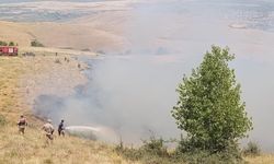Muş'ta örtü yangını büyümeden söndürüldü
