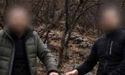 Siirt'te 5 yaban keçisini avladılar; 6 yıl sonra tespit edildiler