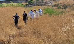 Tarladan gelen kötü koku cesedi ortaya çıkardı
