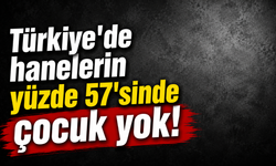 Türkiye'de hanelerin yüzde 57'sinde çocuk yok!