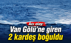 Van Gölü'ne giren 2 kardeş boğuldu