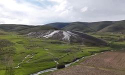 7 ayrı gözeden çıkıyor! Ağ Nene Tepesi'nin suyu dikkat çekiyor