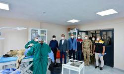 Vali Karakaya sahipsiz hayvanların bakım merkezini inceledi