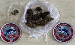 Bingöl'de 43 şüpheli yakalandı: 2 tutuklama