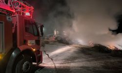 Van'da 2 bin 500 bağ ot yangında kül oldu