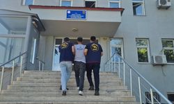 Bingöl'de 5 bin 176 kök kenevir ele geçirildi