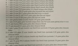 Fenomen Tançalan'ın düğünündeki altınların büyük kısmı sahte çıktı