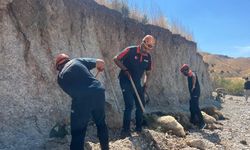 Toprak kayması sonucu 6 küçükbaş hayvan telef oldu