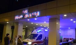 Erciş’te otomobil takla attı: Sürücü ağır yaralandı