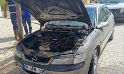 Bitlis'te park halindeki otomobil alevlere teslim oldu
