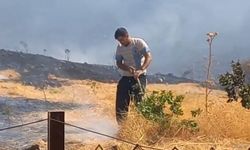 Batman'da yangın: 20 dönüm alan zarar gördü, 10 arı kovanı yandı