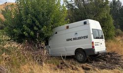 Bingöl'de belediye minibüsü ağaca çarptı: 3 yaralı