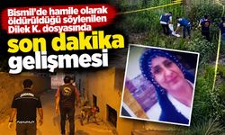 Bismil’de hamile olarak öldürüldüğü söylenilen Dilek K. dosyasında son dakika gelişmesi