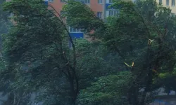 Bitlis'te bugün ve yarın hava nasıl olacak? İşte haftalık hava durumu