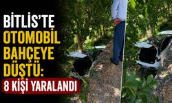 Bitlis'te otomobil bahçeye düştü: 8 kişi yaralandı