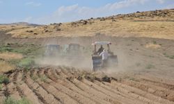 Bitlis'te tarlalar yeni sezon için hazırlanıyor