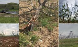Bugün dışarı çıkacaklar dikkat! Fırtına bekleniyor