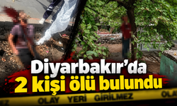 Diyarbakır'da parkta ve mezarlıkta 2 kişi ölü bulundu