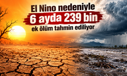 El Nino nedeniyle 6 ayda 239 bin ek ölüm tahmin ediliyor