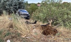 Elazığ'da otomobil ağaca çarptı: 4 yaralı