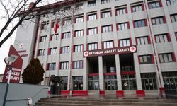 Gülistan Doku soruşturmasında tutuklu sayısı 36'ya yükseldi