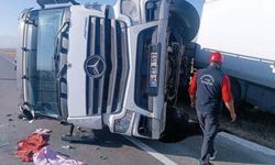 Iğdır'da yola çıkan eşek kazaya neden oldu: Kamyon kontrolden çıktı, 2 yaralı