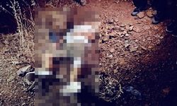 Konuşmak için buluştular, silahlar konuştu: 2 ölü, 3 yaralı