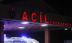 Köpeğe çarpan otomobil refüje çıktı, direğe çarptı