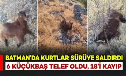 Kurtlar sürüye saldırdı: 6 küçükbaş telef, 18’i kayıp