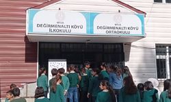 Bitlis’te Öğrenciler Teneffüste "Delikli Labirent" Oyunuyla Eğlendi