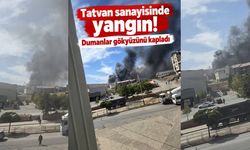 Tatvan Yediemin’de yangın! Dumanlar gökyüzünü kapladı
