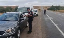 81 ilde düzensiz göç denetimi: 230 göçmen yakalandı