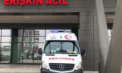 Yol kenarında ağır yaralı bulunan polis hayatını kaybetti