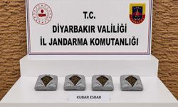 Diyarbakır'da 57 Bin Kök Kenevir Ele Geçirildi!