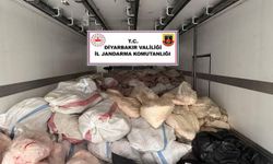 Diyarbakır’da 8 ton sağlıksız hayvansal yağ ve sakatat ele geçirildi