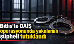 Bitlis’te DAİŞ’in yapılanmasında faaliyet gösteren şüpheli tutuklandı