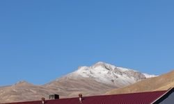 Van'ın yüksek kesimleri beyaza büründü